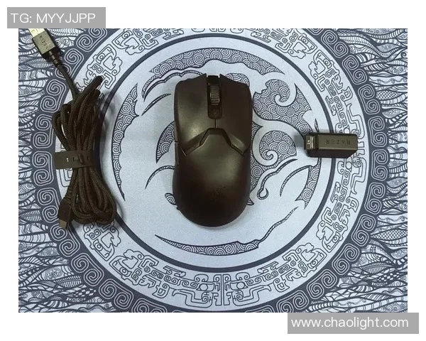 CSGO装备选购指南推荐最佳鼠标助你提升电竞表现与游戏体验