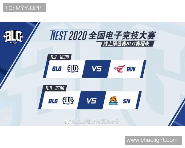 电竞数据挑战者杯中BLG团队协作表现分析与评价探讨